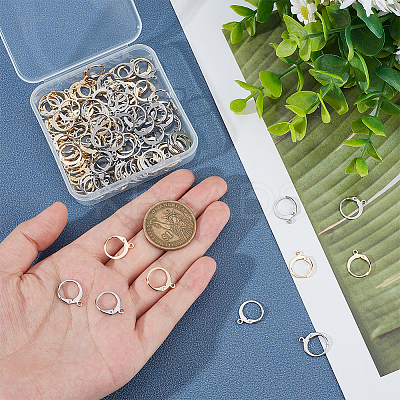120Pcs 304 Stainless Steel Leverback Earring Findings STAS-UN0024-85-1