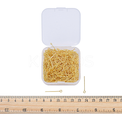 Iron Eye Pin IFIN-YW0001-10G-1