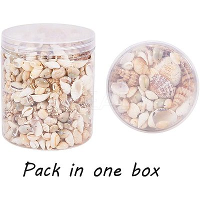 Natural Mixed Style Cowrie Cowry Seashells Oval Spiral Shells with Holes for Jewelry Making BSHE-PH0003-04-1