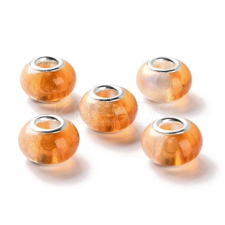 Two Tone Resin European Beads RESI-M001-02H-1