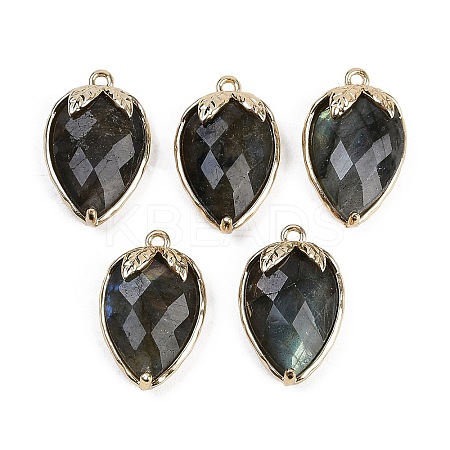 Natural Labradorite Faceted Pendants G-M431-06G-12-1