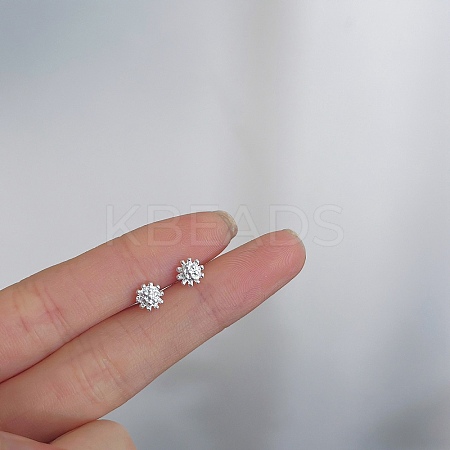 Alloy Earrings for Women FS-WG98937-125-1