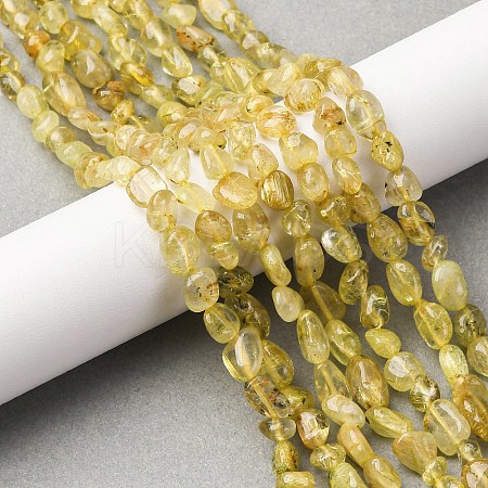 Natural Gold Rutilated Quartz Beads Strands G-K395-A09-01-1