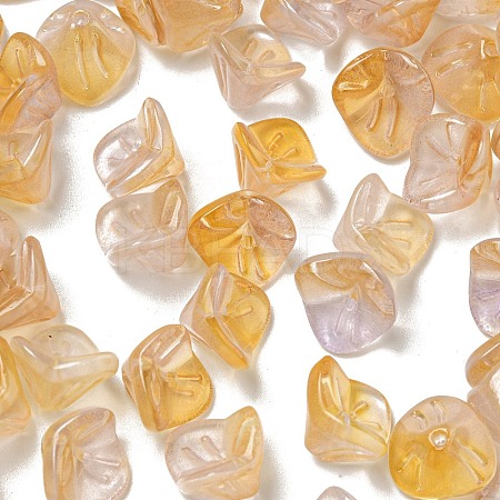 Glass Beads GLAA-G119-01C-1