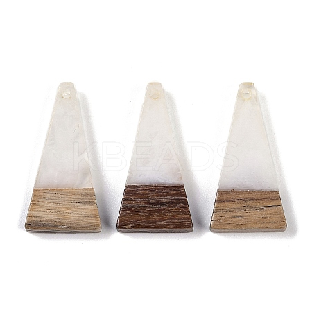 Resin & Wood Pendants WOOD-F015-03H-1
