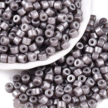 Baking Paint Pearlized Glass Seed Beads SEED-T008-03U-1