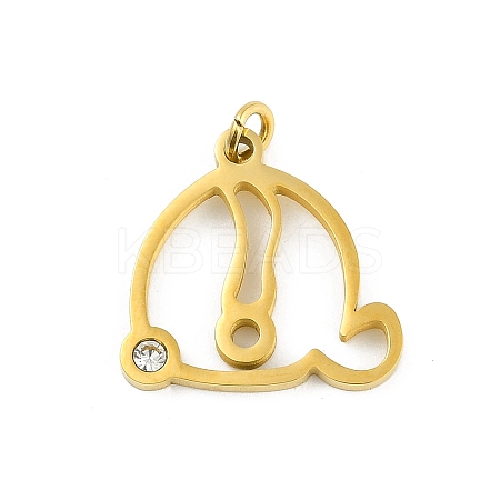 304 Stainless Steel Pendants STAS-R137-01G-Q-1