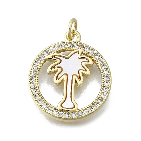Brass Micro Pave Clear Cubic Zirconia Pendants KK-V010-11G-1