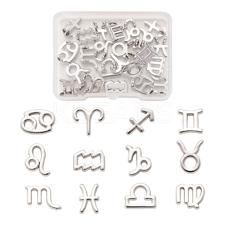 24Pcs 2 Sets Zinc Alloy Jewelry Pendant Accessories FIND-FW0001-08P-1