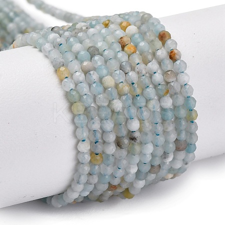 Natural Amazonite Beads Strands G-E351-10A-01-1
