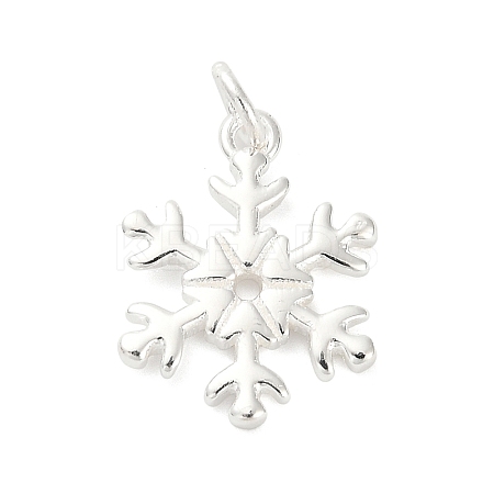 925 Sterling Silver Pendants LS-FIND-Z069-04S-B-1