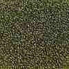TOHO 11/0 Round Beads X-SEED-TR11-0457-2