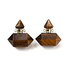 Natural Tiger Eye Perfume Bottle Pendants G-L623-08G-03-1