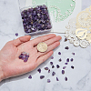 Natural Amethyst Chip Beads G-CJ0001-23-4