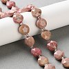 Natural Rhodonite Beads Strands G-C116-A179-01B-1