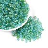 Transparent Colours Picasso Glass Beads SEED-Q039-05A-C01-1