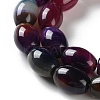 Natural Agate(Dyed & Heated) Beads Strands G-M446-D01-01A-4