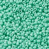 MIYUKI Round Rocailles Beads X-SEED-G008-RR4472-3