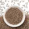TOHO 8/0 Round Beads SEED-TR08-0989-2