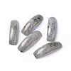 Natural Labradorite Connector Charms G-C015-01B-1