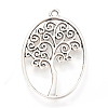 Tibetan Style Alloy Pendants LS-TIBEP-Q064-07AS-NR-1