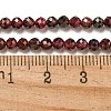 Natural Garnet Beads Strands G-I341-09C-3