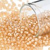 TOHO 8/0 Round Beads SEED-XTR08-0391-1