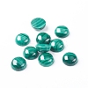 Natural Malachite Cabochons X-G-E557-06D-2