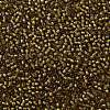 TOHO Round Seed Beads SEED-XTR11-0389-2