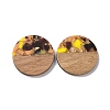 Transparent Resin & Walnut Wood Pendants RESI-N025-045-2