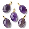 Natural Amethyst Pendants G-E603-03G-02-1