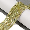 Natural Green Garnet Beads Strands G-A235-A02-02-2
