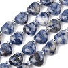 Natural Blue Spot Jasper Beads Strands G-NH0069-A08-2