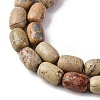Natural Aqua Terra Jasper Beads Strands G-L624-C03-14x10mm-4