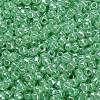 TOHO 8/0 Round Beads X-SEED-TR08-0144-2