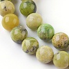 Natural Serpentine Beads Strands G-G767-04-8mm-3