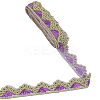 Sparkle Polyester Lace Ribbon SRIB-WH20020-049B-1