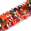 Electroplate Glass Beads Strands X-GLAA-T023-A17-01-1
