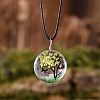 Flat Round Glass with Dried Flower Tree Inner Pendant Black Waxed Cord Necklaces FS-WG87A6D-11-1