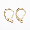 316L Surgical Stainless Steel Leverback Earring Findings X-STAS-E194-03G-1