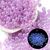 Luminous Glow in the Dark Transparent Glass Round Beads GLAA-F124-B01-1