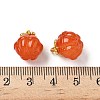 Glass Charms GLAA-P072-04G-10-3