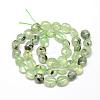 Natural Prehnite Beads Strands G-R445-8x10-25-2