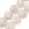 Natural Rainbow Moonstone Beads Strands G-P541-A01-01-1
