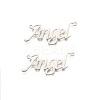 Tarnish Resistant 304 Stainless Steel Pendants LS-X-STAS-M220-08-1