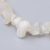 Natural White Moonstone Stretch Bracelets X-BJEW-JB03681-09-2