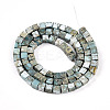 Natural Variscite Beads Strands G-T140-41B-2