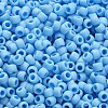 TOHO 6/0 Round Beads SEED-XTR06-0403F-4
