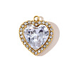 304 Stainless Steel Micro Pave Cubic Zirconia Pendants STAS-OY010-83G-1