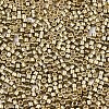 FGB 11/0 Grade A Glass Seed Beads SEED-S030-1207-2